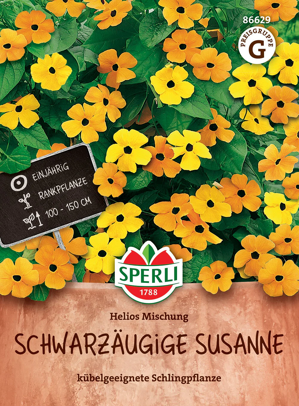 SPERLI Schwarzäugige Susannen-Samen 'Helios Mischung'