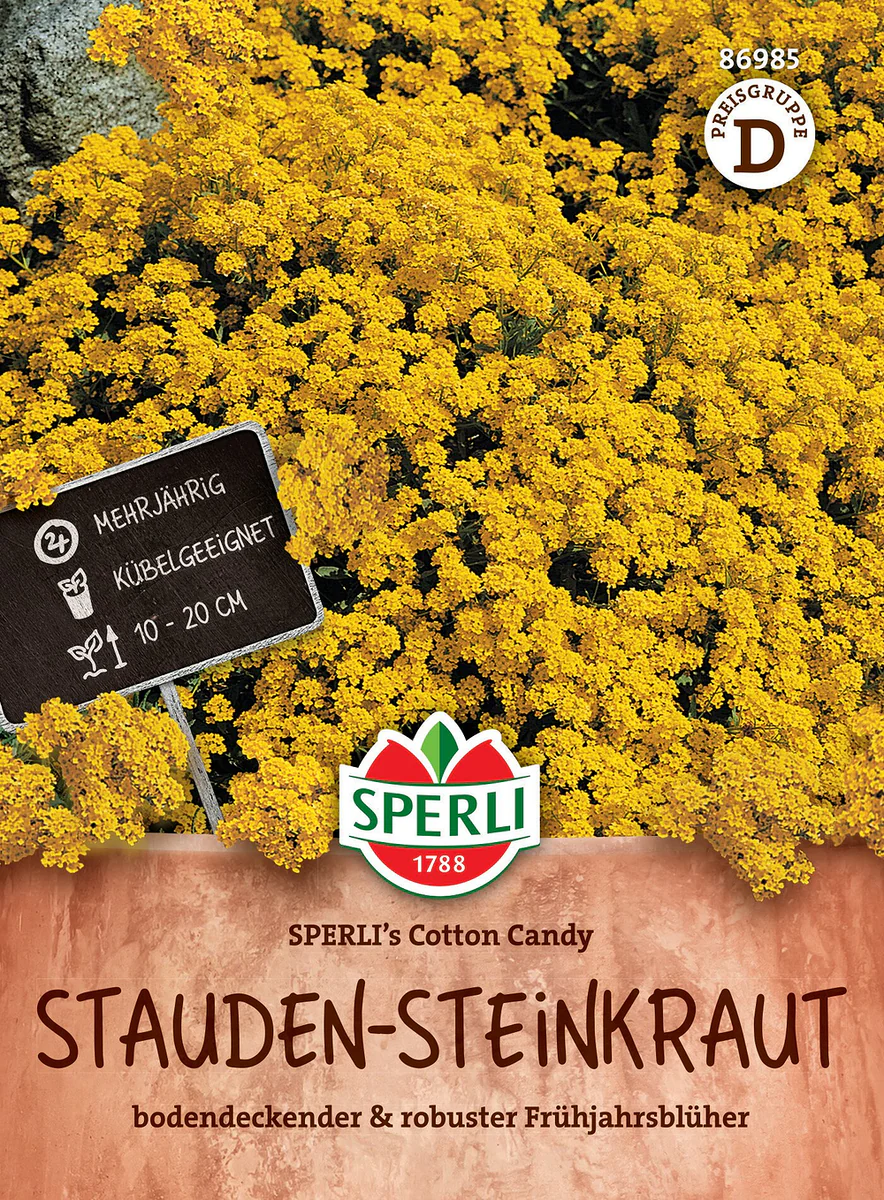 SPERLI Stauden-Steinkraut-Samen 'Cotton Candy'