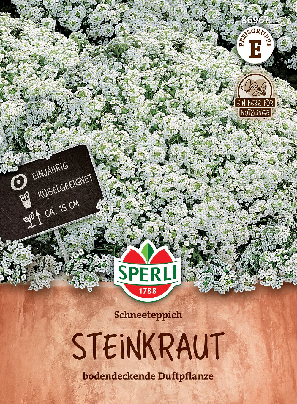 SPERLI Steinkraut-Samen 'Schneeteppich'