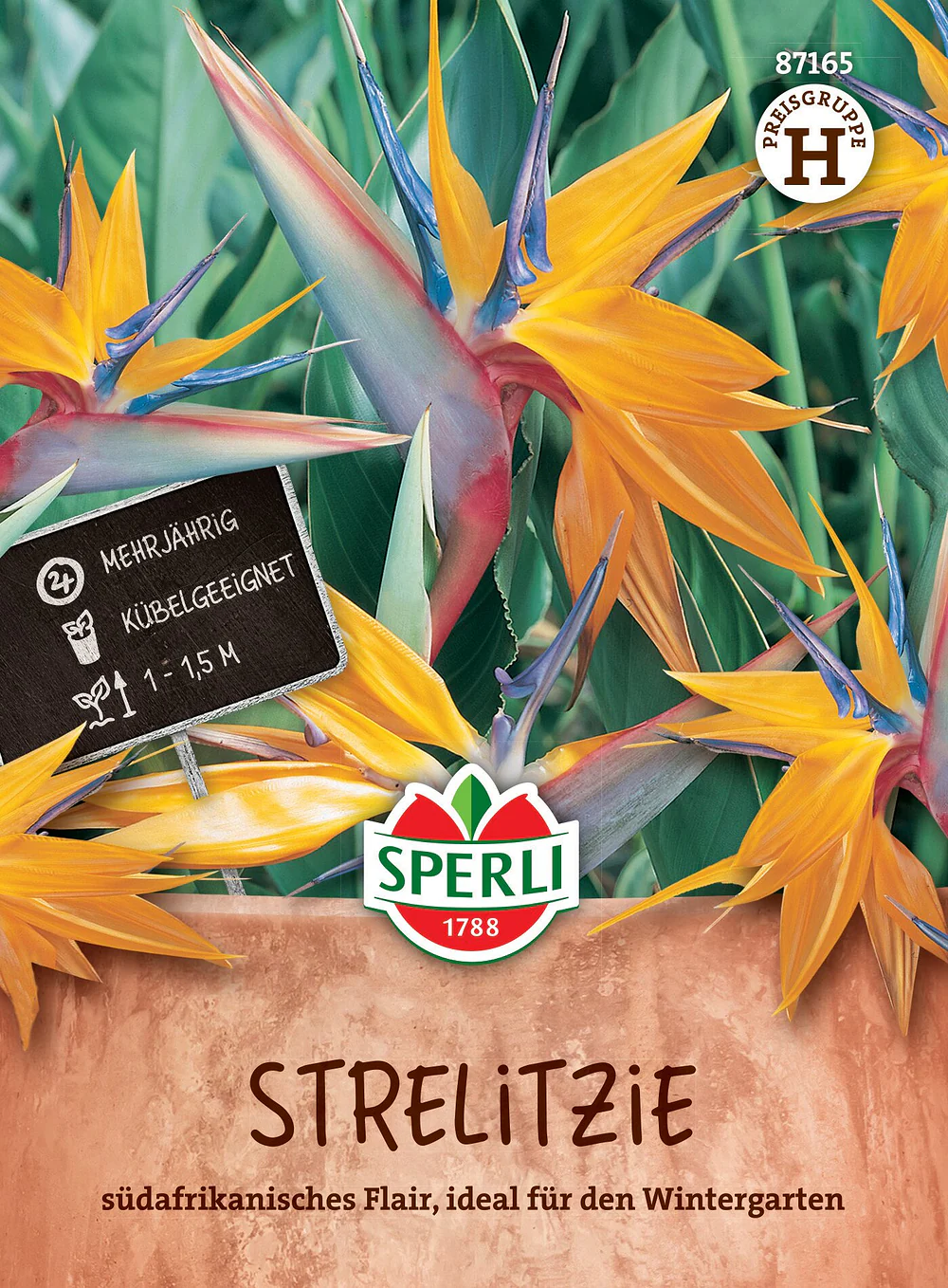 SPERLI Strelitzien-Samen