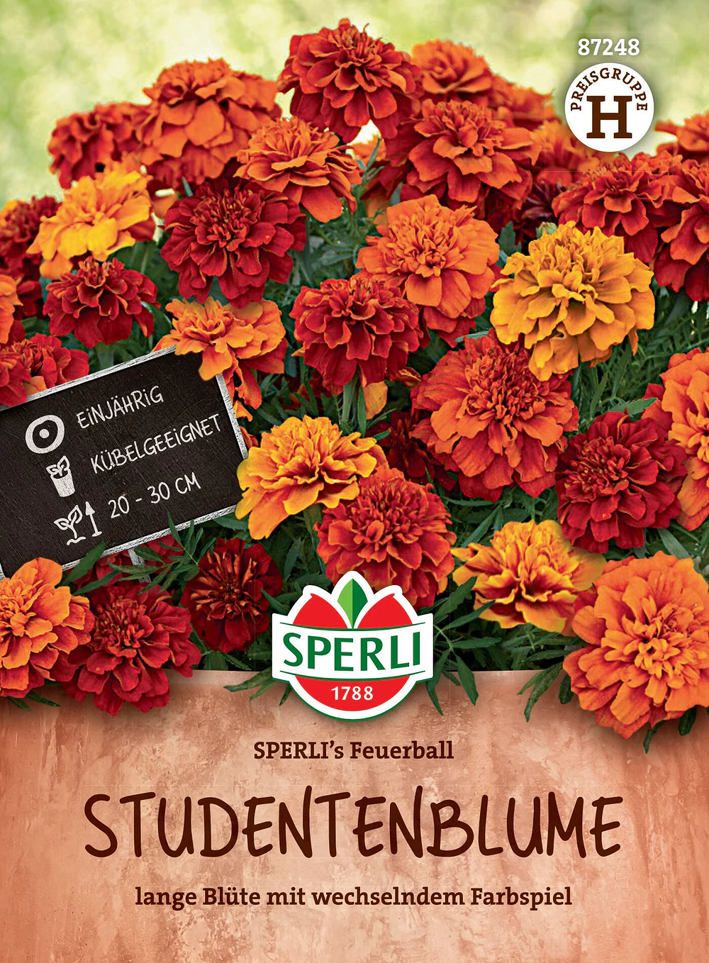 SPERLI Studentenblumen-Samen 'Feuerball'
