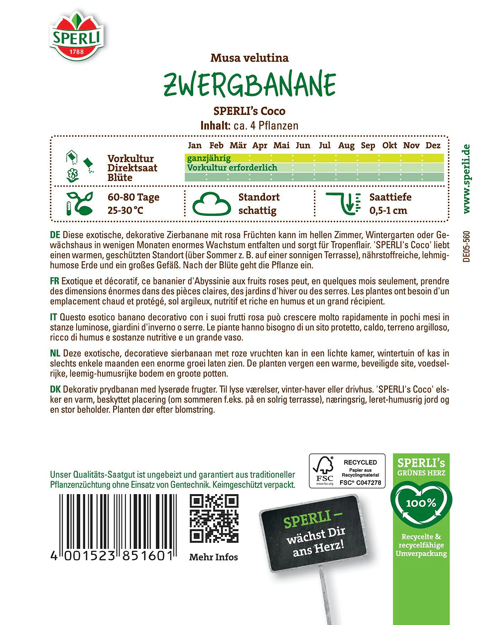 SPERLI Zwergbananen-Samen 'Coco' - Image 2
