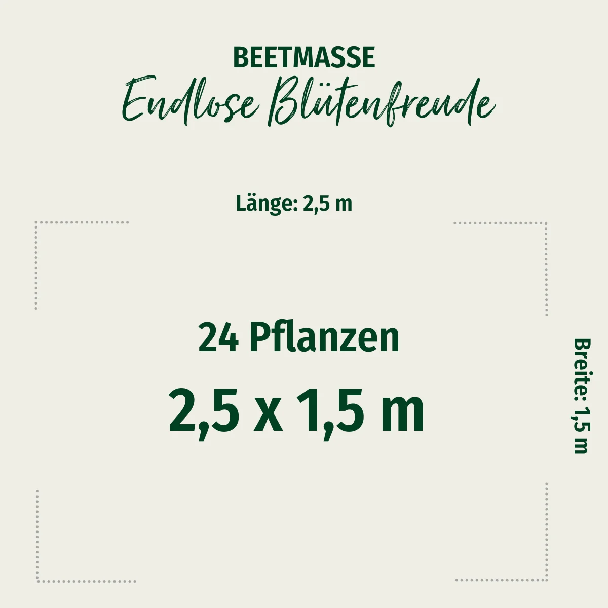 Staudenbeet "Endlose Blütenfreude" - Image 2