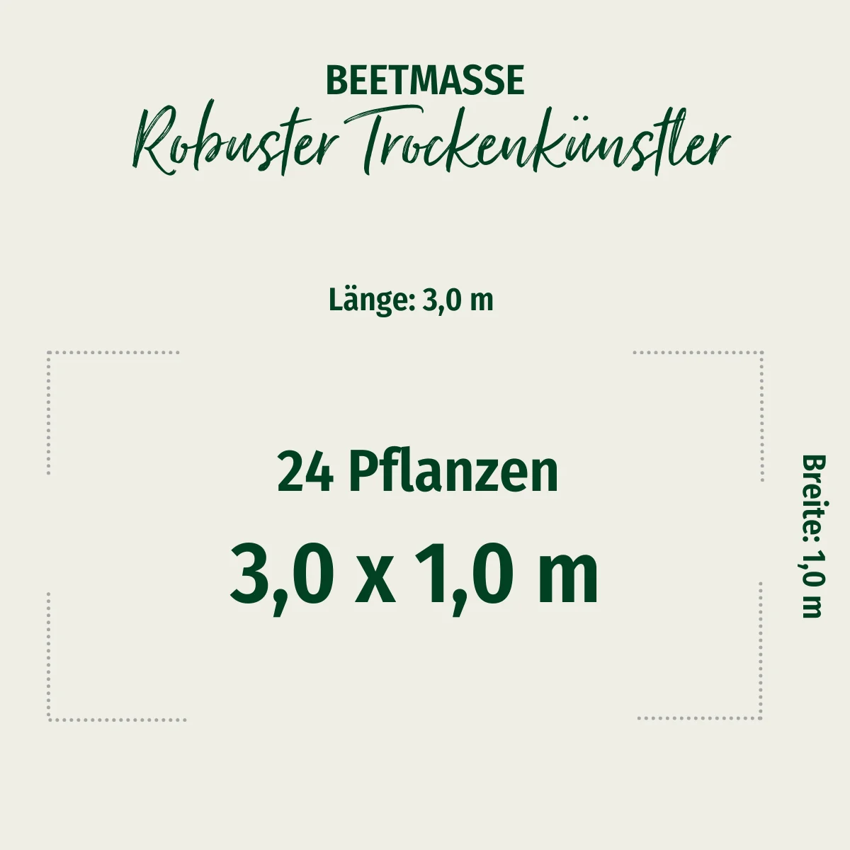 Staudenbeet "Robuster Trockenkünstler" - Image 2