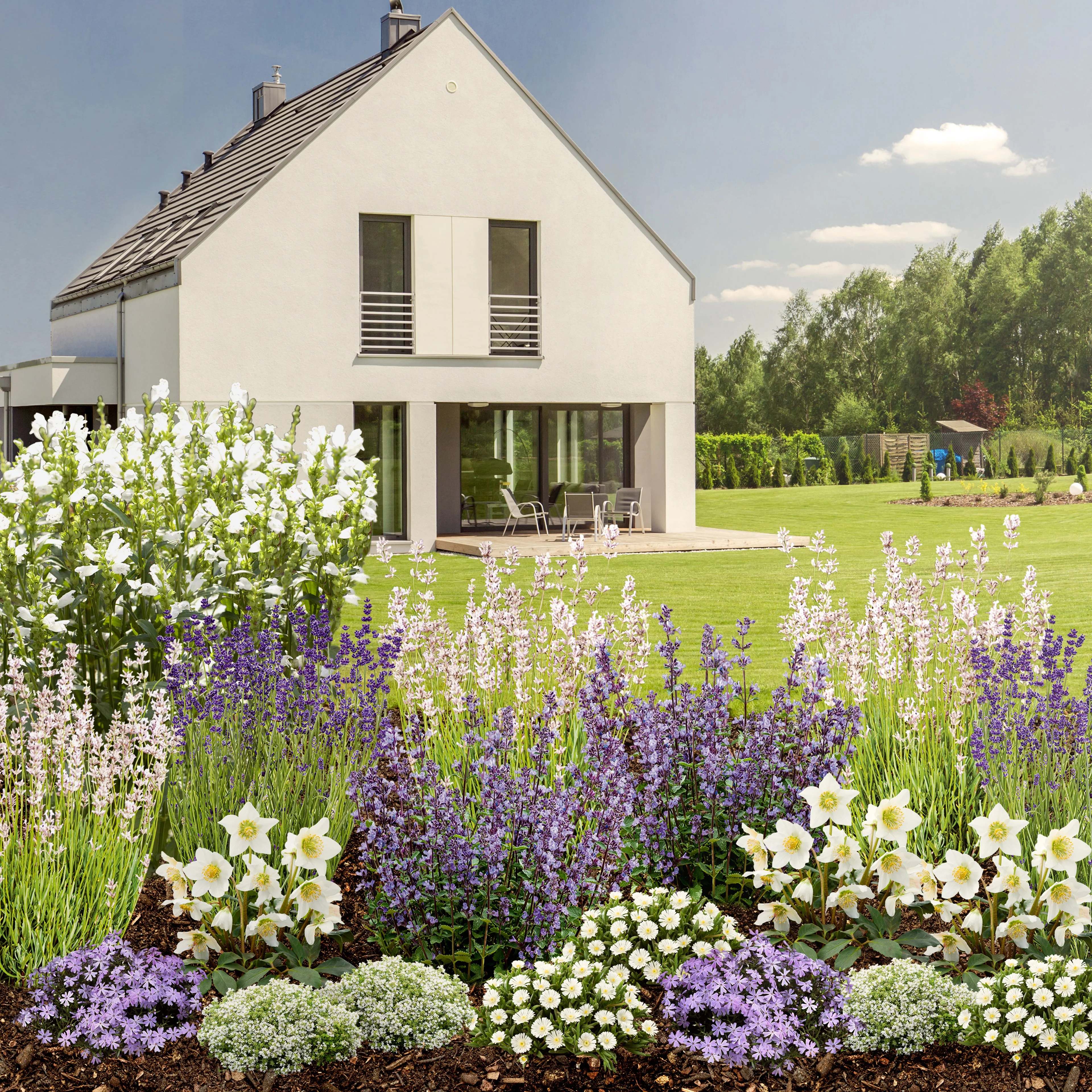 Staudenbeet "Summendes Bienenparadies"