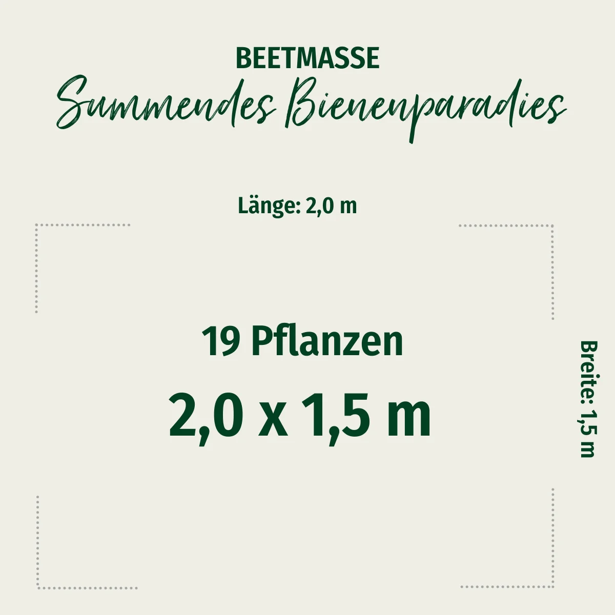 Staudenbeet "Summendes Bienenparadies" - Image 2
