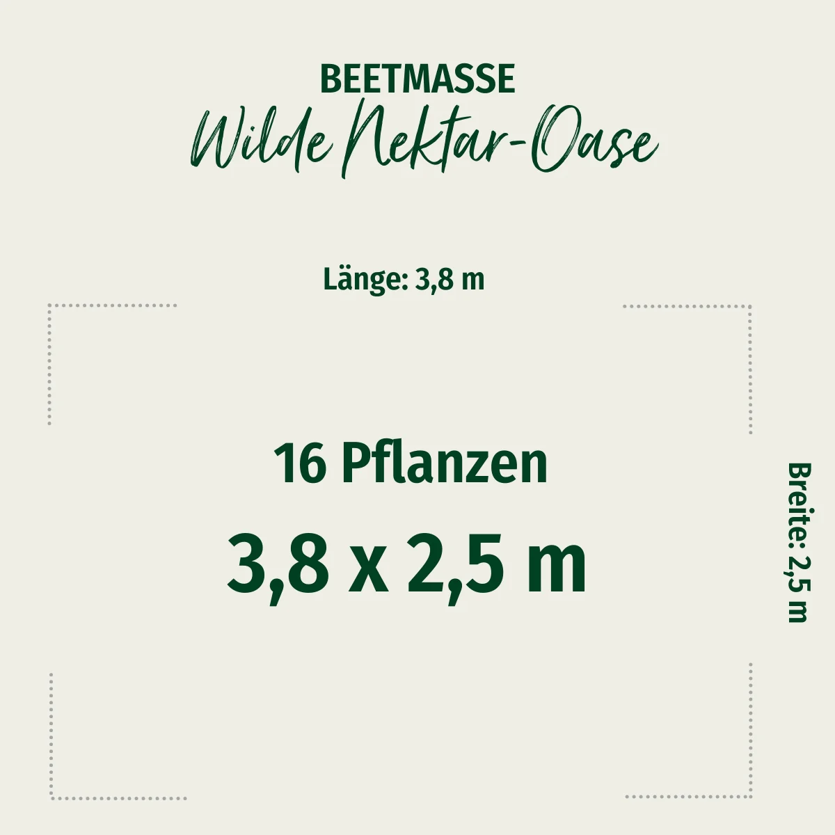 Staudenbeet "Wilde Nektar-Oase" - Image 2