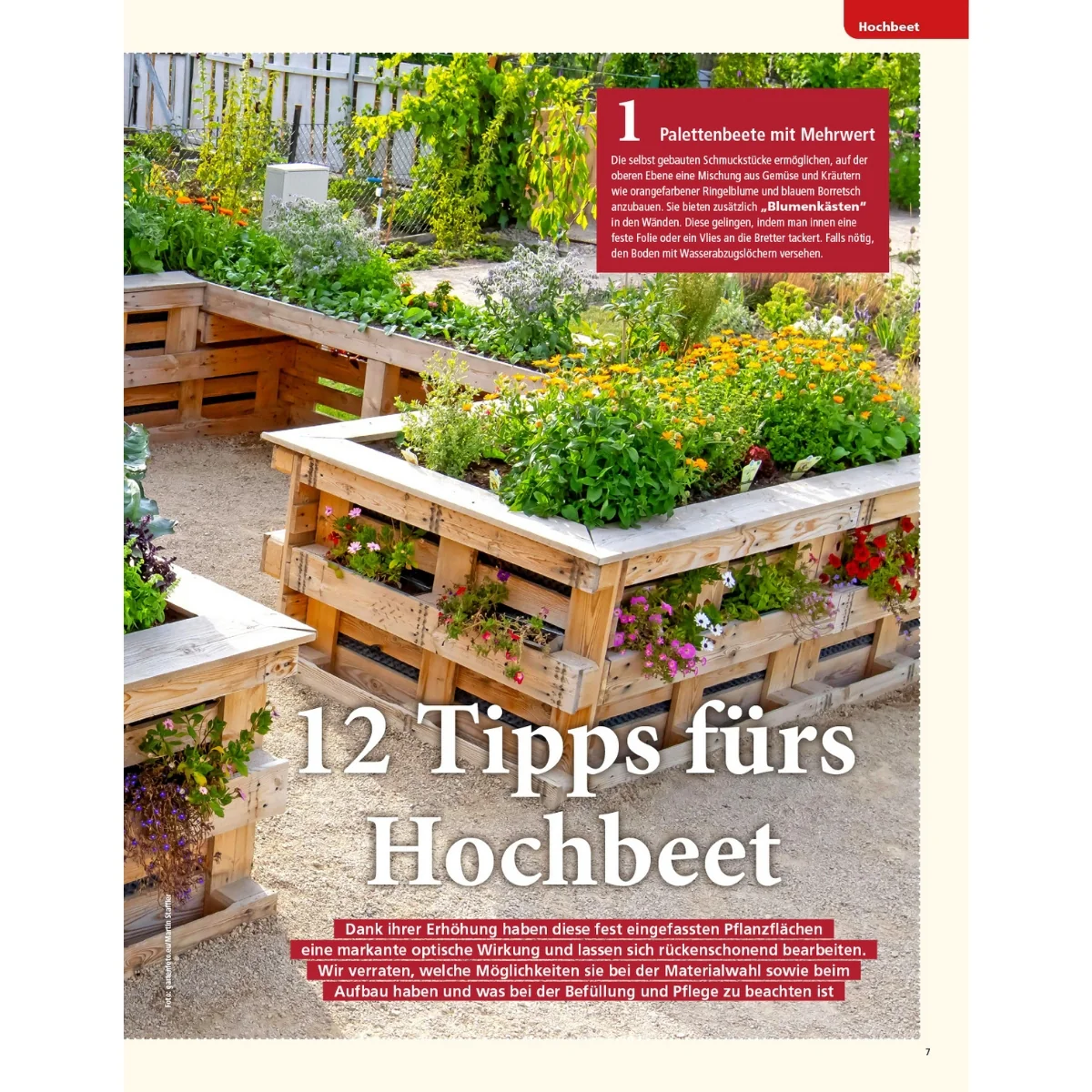 Zeitschrift Mein schöner Garten Spezial 'Küchengarten' 01/26 - Image 6