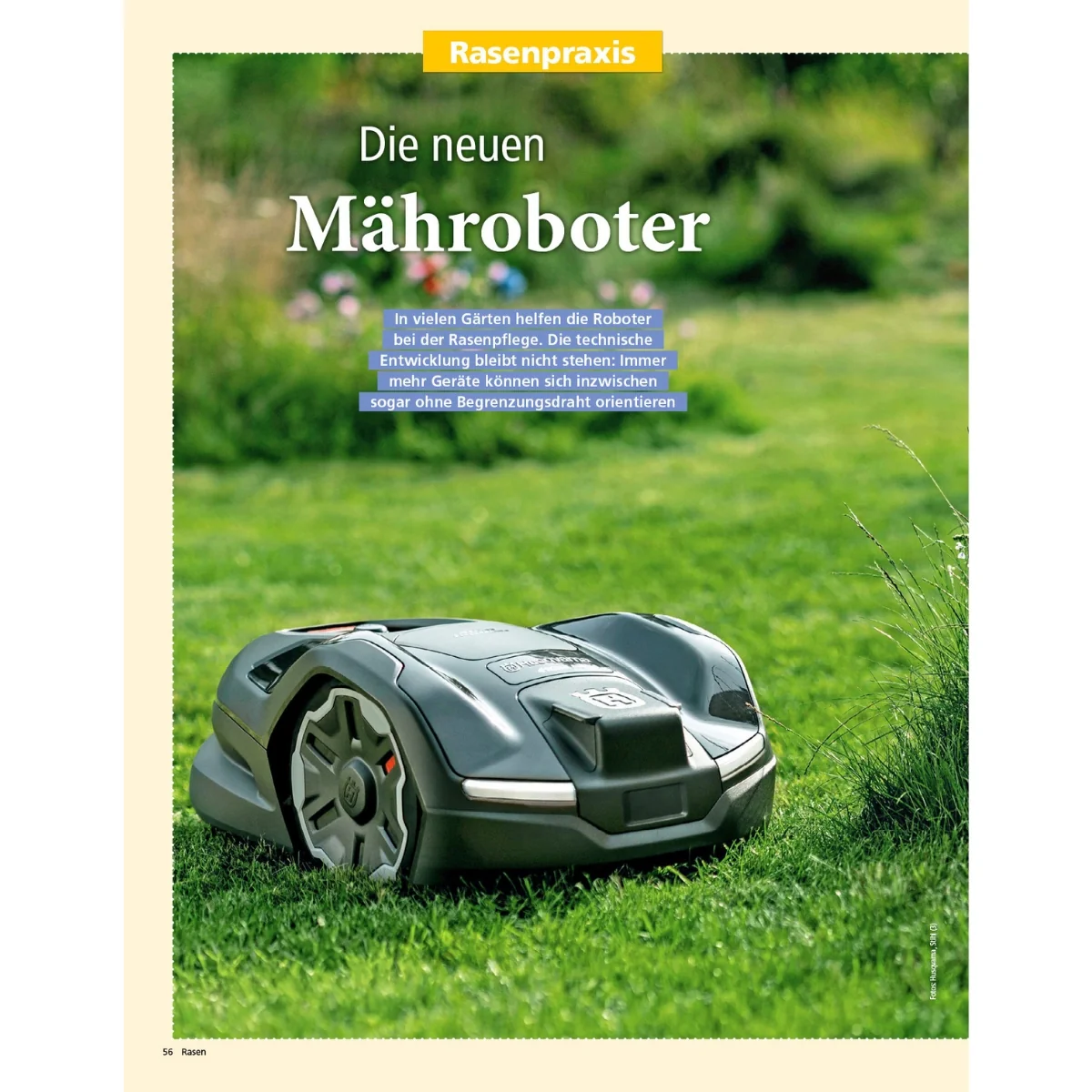 Zeitschrift Mein schöner Garten Spezial 'Rasen & Wiese' 02/25 - Image 4