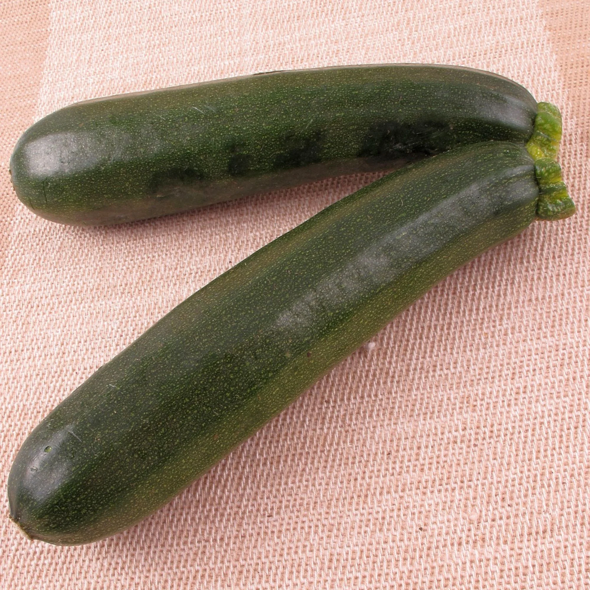 Zucchini 'Easy Pic Green'