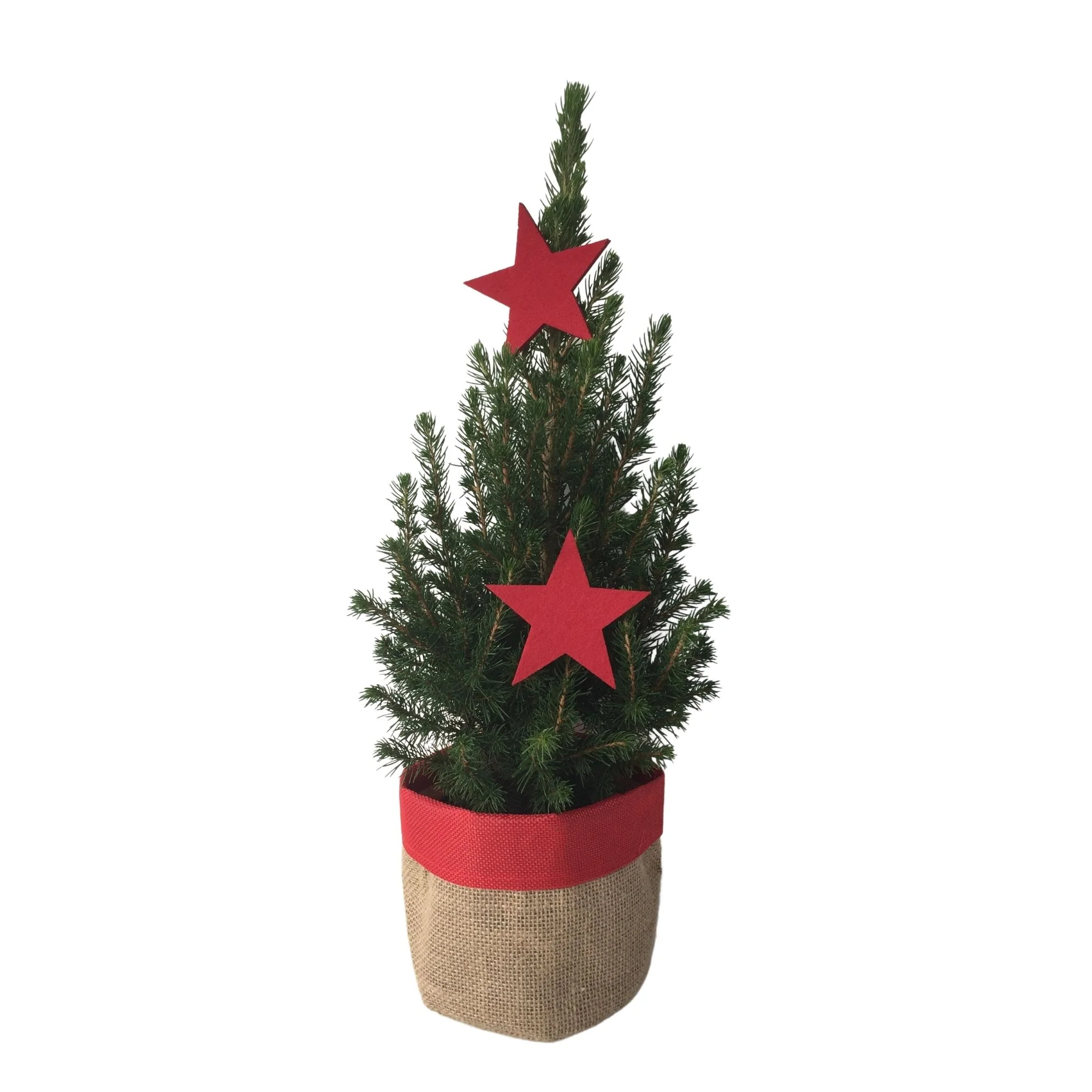 Geschmückter Mini-Weihnachtsbaum, Rot - Image 2