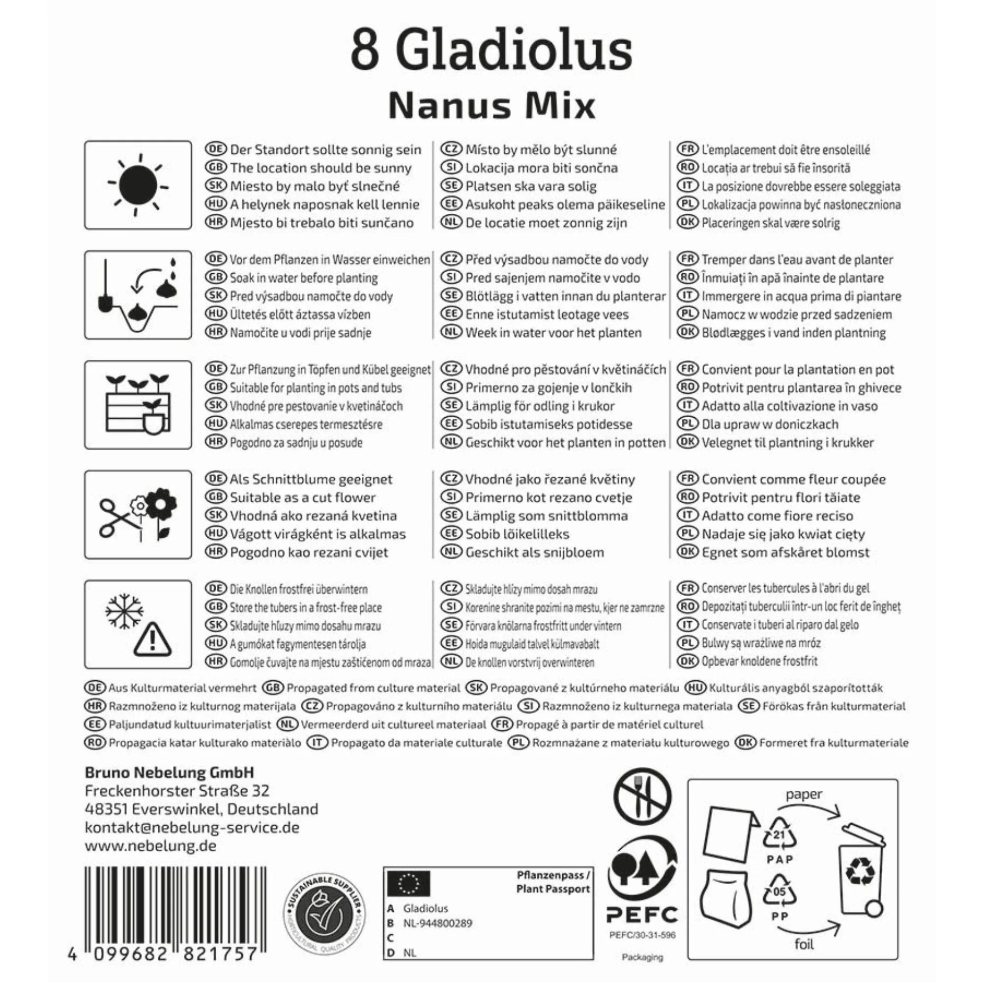 Zwerg Gladiolen Mischung, 8 Zwiebeln - Image 2